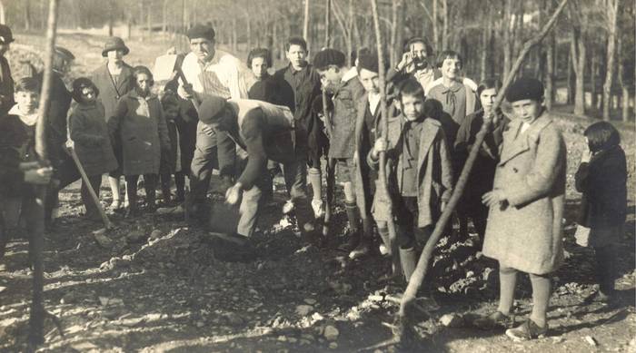 1906ko 'Arbolaren Festa' Goizuetan  eta Urumea bailarako zuhaitz egunen misterioa