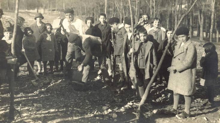 1906ko 'Arbolaren Festa' Goizuetan  eta Urumea bailarako zuhaitz egunen misterioa
