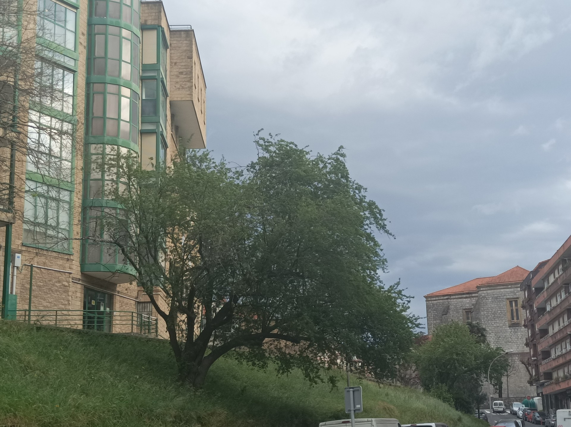 Giroa epel, haizea zakar