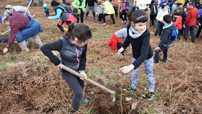 Eguraldia lagun, larunbat honetan ospatuko da Zuhaitz Eguna
