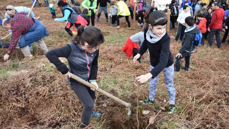 Eguraldia lagun, larunbat honetan ospatuko da Zuhaitz Eguna