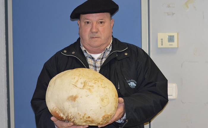 2 kilo baino gehiagoko astaputza
