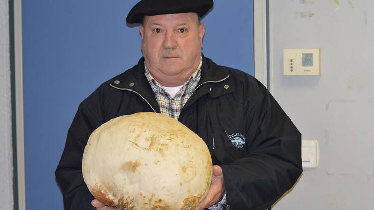 2 kilo baino gehiagoko astaputza