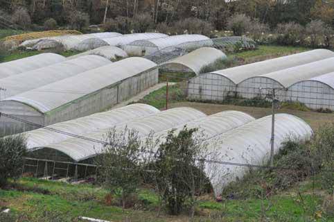 Espropiazioei alegazioak jartzeko momentua orain da