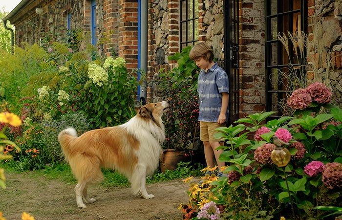 'Lassie: Una nueva aventura' eta 'La habitación de al lado', bihartik Biterin