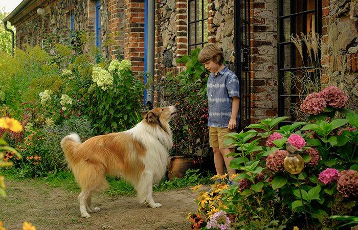 'Lassie: Una nueva aventura' eta 'La habitación de al lado', bihartik Biterin