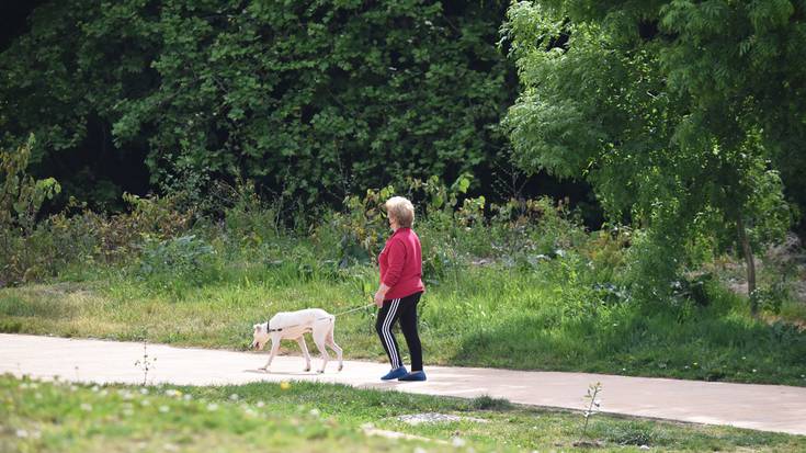 Txakur gehiago daude Urumea bailaran, 15 urtetik beherako haurrak baino