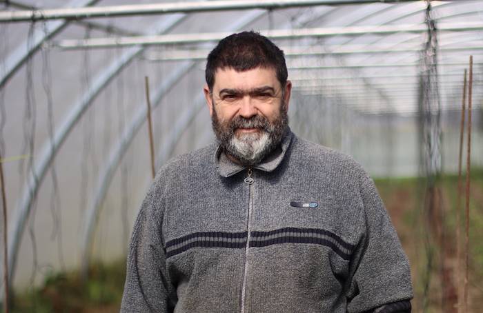 Iruña-Veleiaren inguruko hitzaldia, larunbatean udaletxeko ganbaran