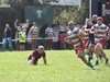 Errugbiko Ohorezko Elite Maila: Hernani Bartzelona, iruditan