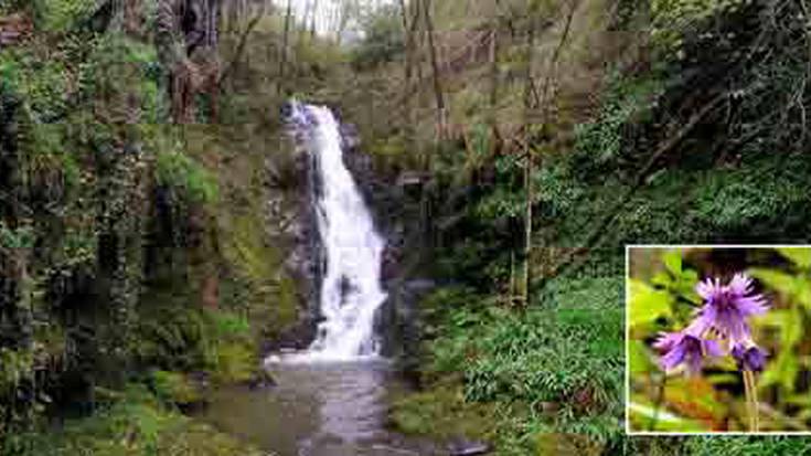 Historia, kultura eta natura ezagutzeko, ibilbide gidatua