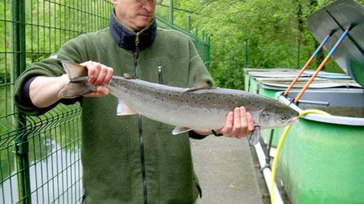 Aurtengo lehenengo izokina 
Urumean gora dijoa, 3,40 kg-ko pieza