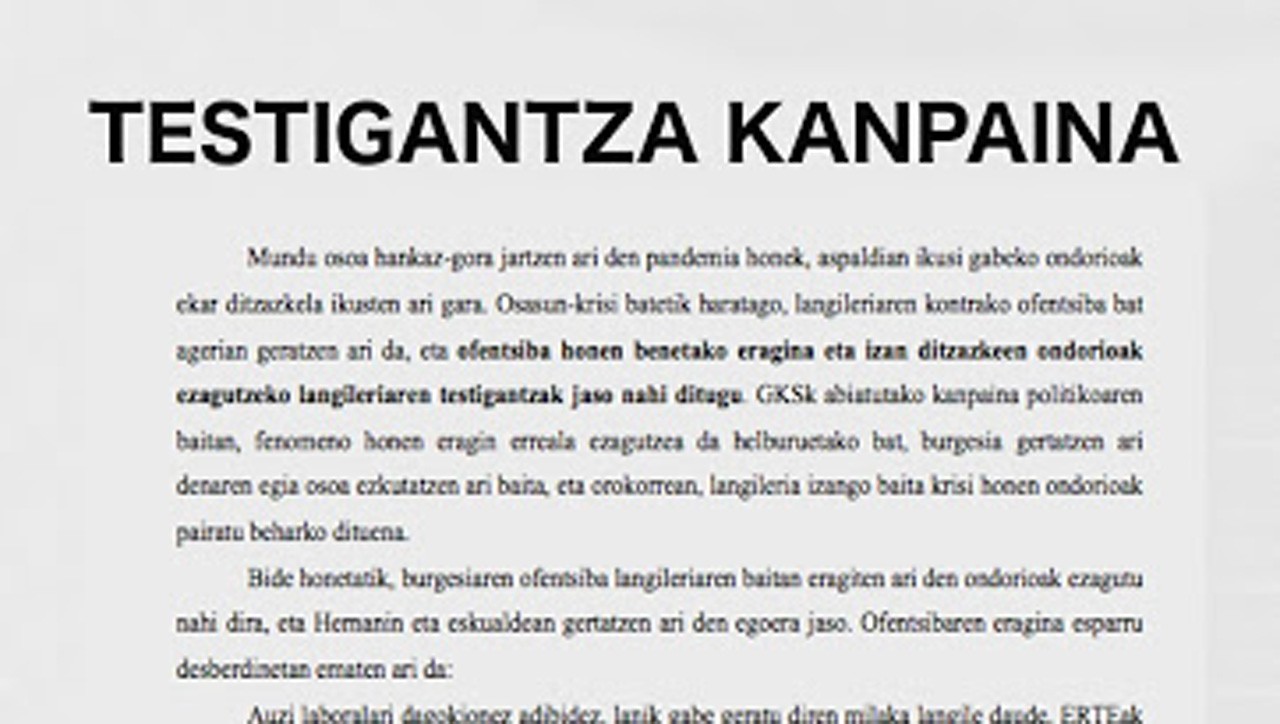 «Egoeraren eragin erreala ezagutzeko» testigantzak jasotzen, Gazte Asanblada