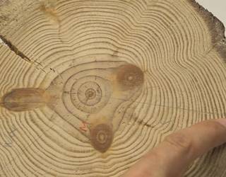 Zurezko lanen erakusketa inauguratuko dute bihar Erriberan, taila tailerreko ikasleen eskutik