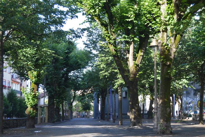 Tilosetako lurra asfaltatuko dute bihar eta etzi