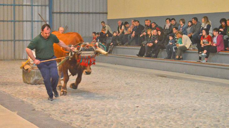Festa Zamalbiden, igande honetan ere