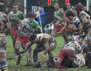 Landareko lokatz pisutsuan kateatuta