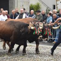 Lurraldia: San Isidro eguna