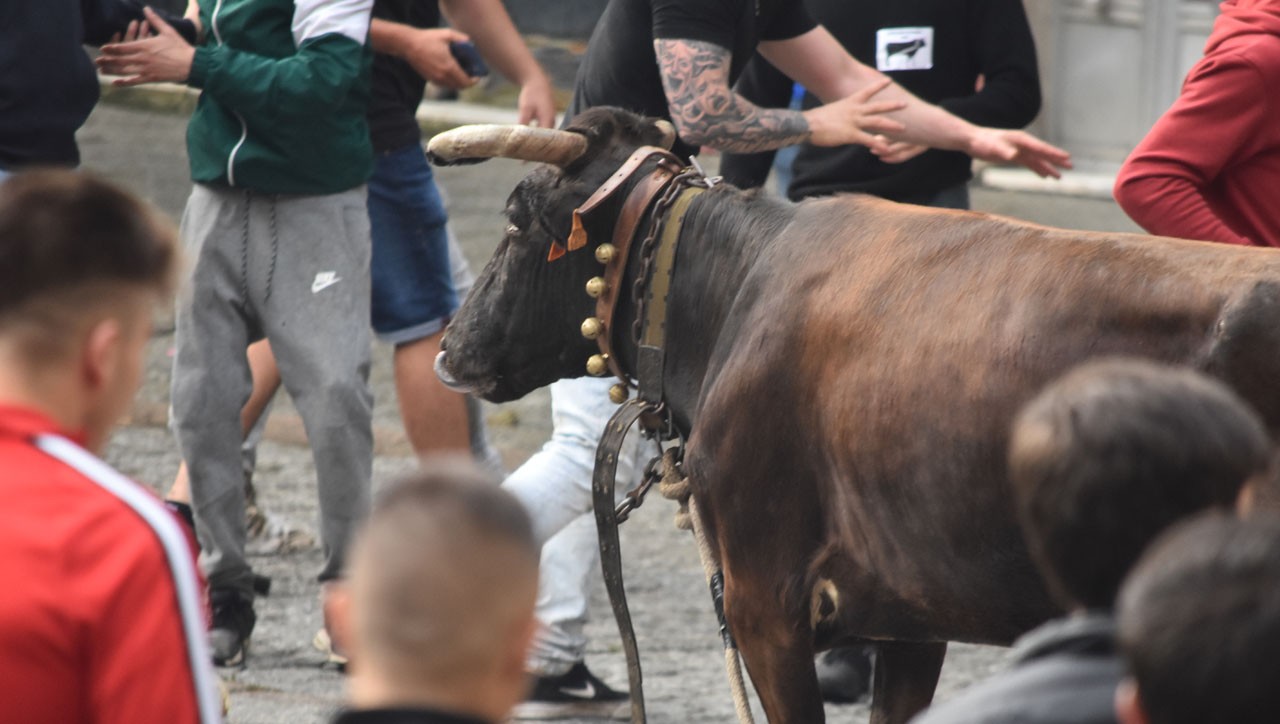 Sokamuturra, korapilo bat plazaren erdian