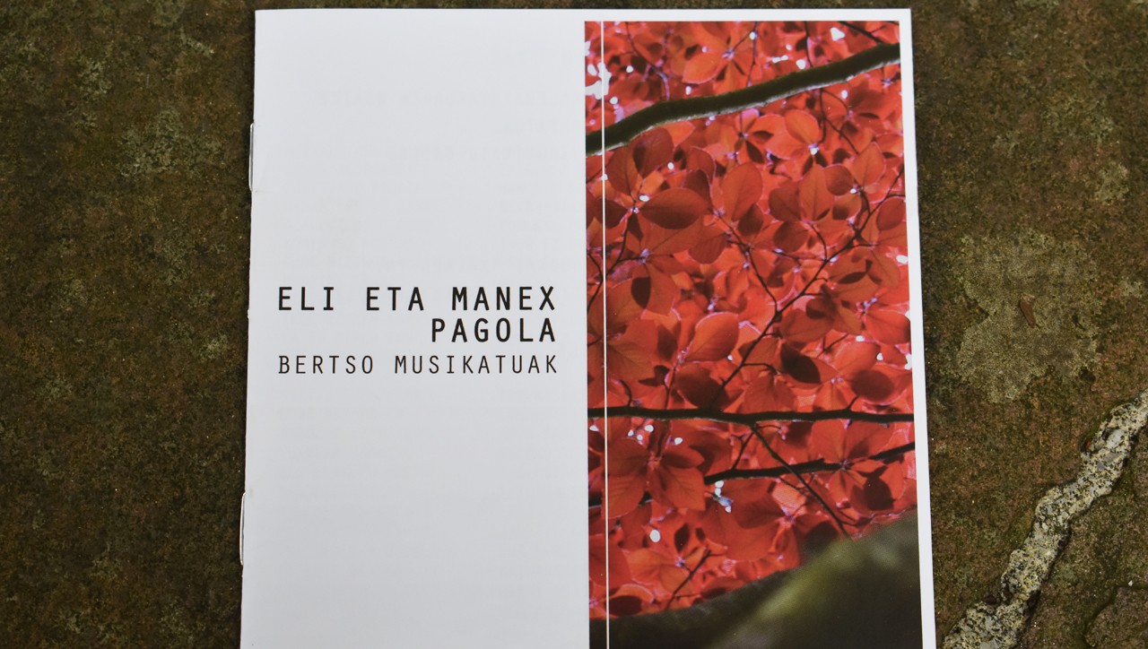 Eli eta Manex Pagolak kontzertua, frontoian