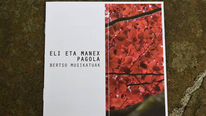 Eli eta Manex Pagolak kontzertua, frontoian