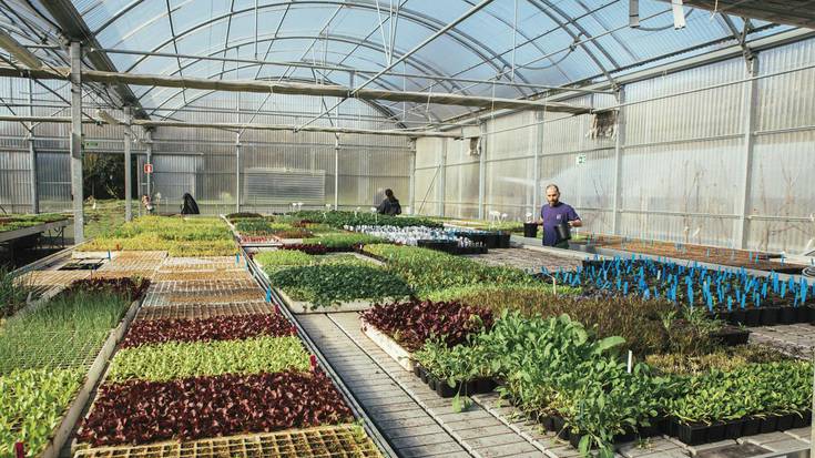 Nekazaritza ekologikoa eta bioaniztasuna  sustatzen dituen etxaldea 