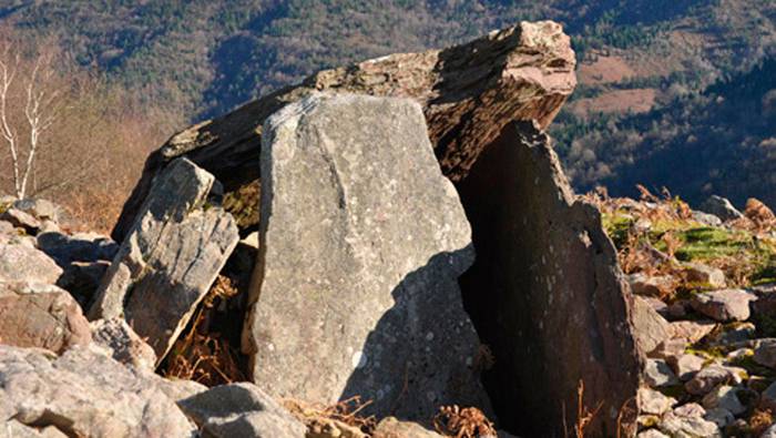 Sagardoa, kultura eta natura bat eginda, Hernanin barrena