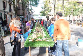 Hilabete osoko egitaraua antolatu dute mikologia jardunaldietan gaurtik hasita