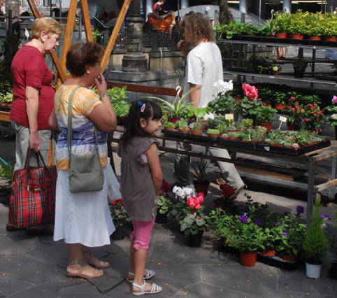 Erosketak non egina izango da gaur, Plaza Berrin