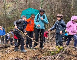 Haltz sail berri bat, Saratsainen