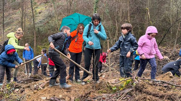 Haltz sail berri bat, Saratsainen