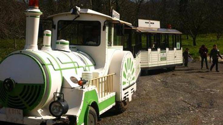 Tren Berdean dohainik ibiltzeko aukera, bihar eta etzi