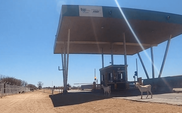 Zimbabwen ikusi eta ikasitakoa