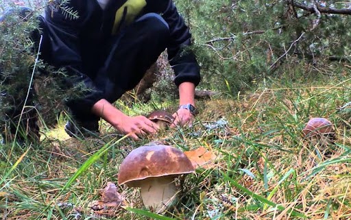 Zilegi Mendiak ezagutzeko hitzaldia, gaur