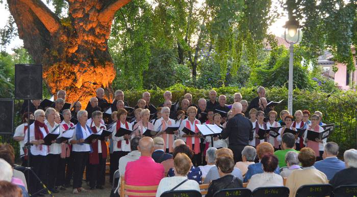 Udako azken iluntzea goxatzen, Goiz Eguzkiko artistak