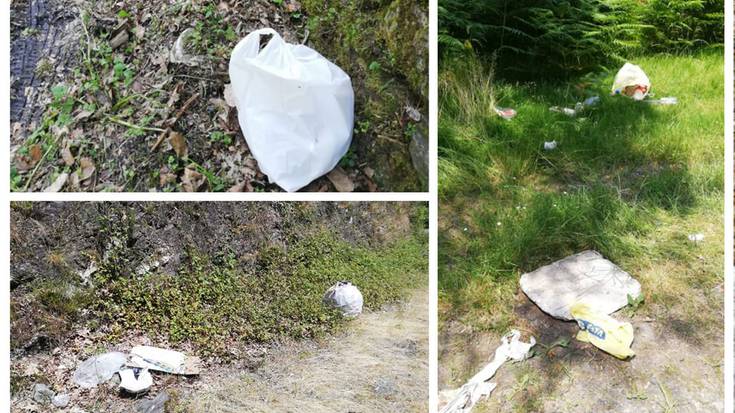 Zabor ugari geratu da Goizuetako erreka bazterretan, asteburua igarota
