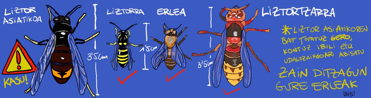 Asteburuko Kromikia