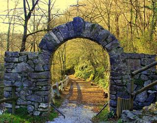 Lesakara eta Arantzara maiatzean, 60 urtetik gorako ereñotzuarrak