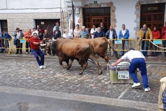 Gaur gauean bukatuko dira jaiak, ‘Pobre de mi’ kantatuta