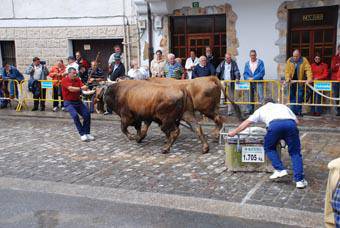 Gaur gauean bukatuko dira jaiak, ‘Pobre de mi’ kantatuta