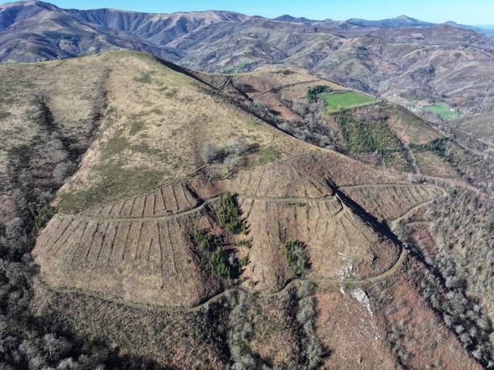 Udalak Txingurri birlandatu du, Rural Kutxarekin elkarlanean