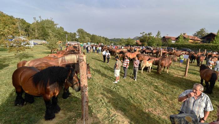 Azoka Ibiltaria eta Nekazari Eguna, igande honetan Lekunberrin